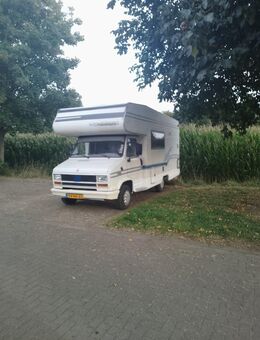 Überwintern im Süden. - Fronhausen