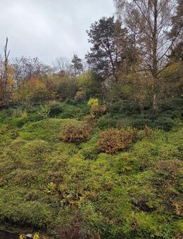 Ruhige, großzügig geschnittene 3 ZKB-Wohnung im Grünen sucht neue Mieter - Saarbrücken