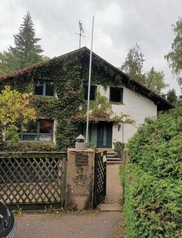 Juwel in freier Natur - Lebach