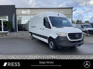 Mercedes Sprinter, 317 KA MAXI L3H2 MBUX AUTOMATIK, Jahr 2022 - Rottweil