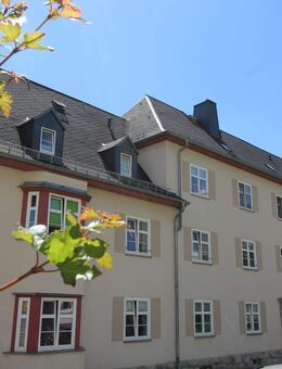 Hoch hinaus - Tolle Wohnung im Dachgeschoss mit Kaminanschluss! Balkon! Stellplatz - Thalheim (Erzgebirge)
