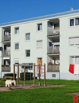 OPEN HOUSE - SO 09.11.25 / 13:30 bis 14:15 Uhr - Paderborn