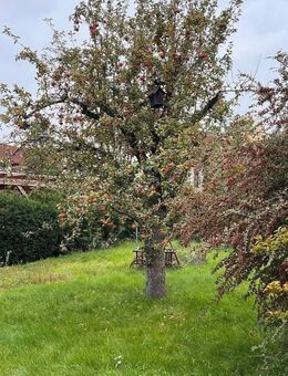 ZUHAUSE ANKOMMEN: ÄLTERES WOHNHAUS IN HERRLICHER LAGE VON ALTERLANGEN - Erlangen
