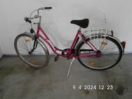 Damenfahrrad 28" Farbe Pink - Delitzsch Zentrum