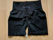 Teveo Shorts - Coburg