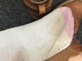 Socken schwitzig getragen einvakumiert in 10115