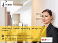 Mitarbeiter/-in Gästeempfang / Rezeption (m/w/d) - Bad Harzburg