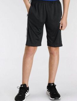 adidas Sportswear Shorts TRAIN ESSENTIALS AEROREADY 3-STREIFEN REGULAR-FIT (1-tlg)