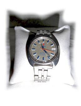 Seltene Roamer Armbanduhr - Nürnberg