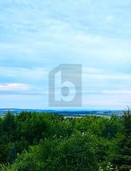 RENOVIERT & MIT TRAUMHAFTEM PANORAMABLICK - Ballenstedt