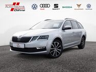 Skoda Octavia, 2.0 TDI Combi Soleil, Jahr 2019 - Rathenow