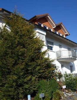 Schöne, gemütliche 3-Zimmer-Wohnung mit Einbauküche - Höhr-Grenzhausen