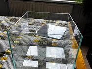 Cube Aquarium mit Zubehör - Hannover Mitte