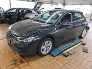 VW Golf, 2.0 TDI VIII 8 Life, Jahr 2020 - Calw