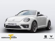 VW Beetle Cabrio 2.0 TDI DESIGN NAVI PDC SHZG - Gelsenkirchen