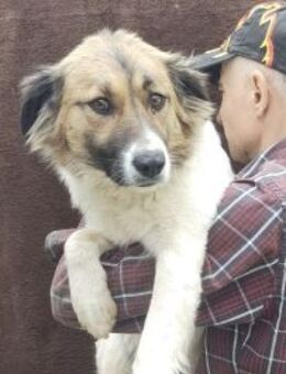 Conny 47 cm - Alpenrod