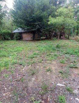 Renovierungsbedürftiges kleines Haus auf einem grün eingewachsenen Grundstück in sehr ruhiger Waldrandlage mit 802 m² in Wiesendorf bei Neukirchen NW - Weiden (Oberpfalz)