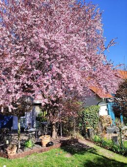 Naturidylle pur: Ruhig gelegenes Einfamilienhaus mit traumhaftem Garten in Marbach !!! - Erfurt