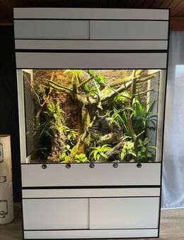 -20% auf Premium Kunststoff Terrarien und Terrarium Racks - Seligenstadt