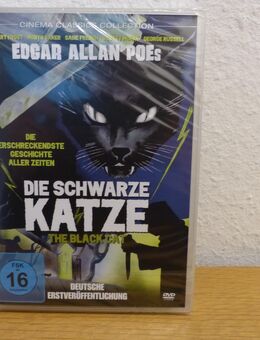 Film-DVD "Die schwarze Katze" - Bielefeld Brackwede