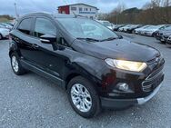 Ford EcoSport 1.0 EcoBoost *Titanium*SHZ*Metallic* - Boxberg (Baden-Württemberg)