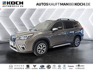 Subaru Forester, 2.0 ie Comfort Mild-Hybrid, Jahr 2020 - Ahrensfelde