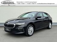 Skoda Scala, 1.0 TSI FL Selection e Hk, Jahr 2024 - Castrop-Rauxel