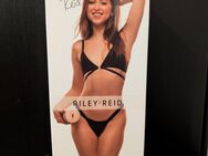 Fleshlight Girls Riley Reid Utopia Masturbator - Dudenhofen