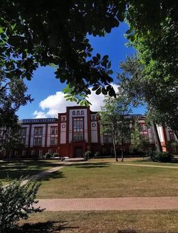 exklusive Ferienwohnung in Schwerin Innenstadt - Schwerin