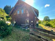 Mach mich fertig- Idyllisches Einfamilienhaus zur Fertigstellung - Klingenthal