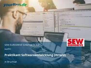 Praktikant Softwareentwicklung (m/w/d) - Bruchsal