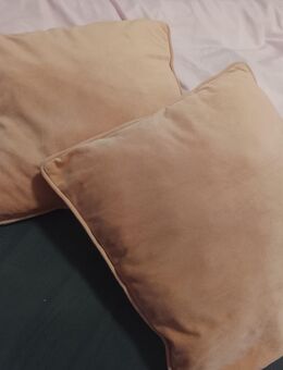 2 Kissen Aprikot - Hannover