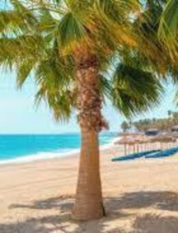 SIE für Urlaub in Andalusien gesucht - Essen