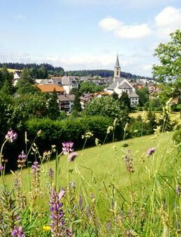 Gemütliches 1-Zimmer Appartement - Schönwald (Schwarzwald)