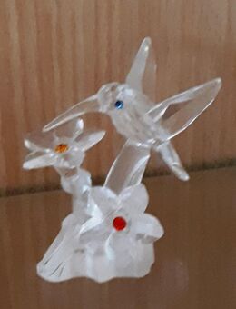 Swarovski Kolibri an Blüten Vitrinenfigur - Frankfurt (Main) Zeilsheim