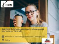 Assistenz Frischdienstleitung - Schwerpunkt Marketing / Vertrieb - Piding