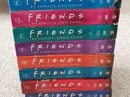 Friends DVD Sammlung Staffel 1-10 - Frankfurt (Main)