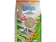 Lillebro Sonnenblumenkerne, geschält - 3 kg