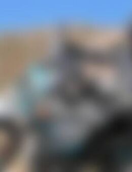 Bew*** - Oststeinbek