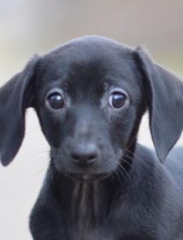 Neo - vorsichtig & total lieb - Lohmar