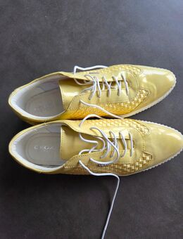 Modische Schnürschuhe von GEOX - Aschaffenburg