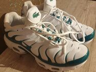 Nike AIR tn Lacoste Schuhe - Krefeld