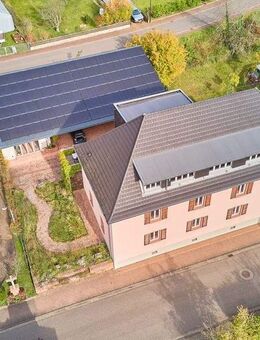 Energetisches Goldstück im Herzen des Pfälzer Waldes - Fischbach (Dahn)