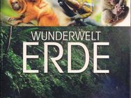 Wunder Welt Erde Leben Planet Kontinente - 10 DVDs - BBC, BBC Earth, Discovery - Reinfeld (Holstein)