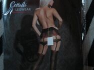 Cottelli Legwear Straps-Strumpfhose Schwarz Größe M 40/42 NEU - Düsseldorf