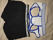 Getragene jockstraps und Boxershorts - Wiesmoor