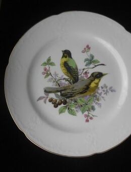 Kaiser Porzellan Dubarry Teller 24,5 cm  + Alka Untersetzer 10 cm Vögel zus. 7,- - Flensburg