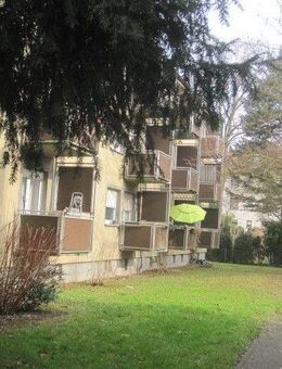 Top Lage! Sanierte/Renovierte 2-Zimmer Wohnung im Stadtteil Eschersheim - Frankfurt (Main)