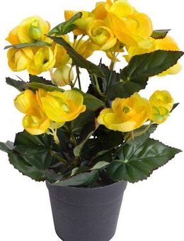 Kunstblume Begonienbusch mit 7 Stielen, Botanic-Haus, Höhe 26 cm