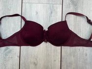 BH 80E von Hunkemöller burgunder - Vechta